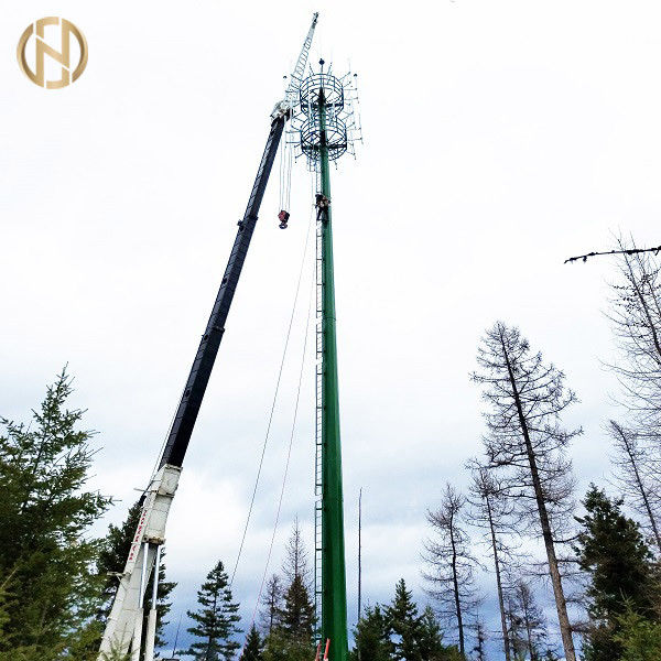 100FT 120FT টেলিযোগযোগ পোস্ট টেলিকম খুঁটি ASTM A572 GR65 ইস্পাত